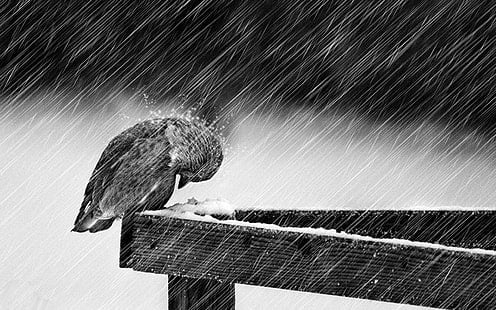 hardships