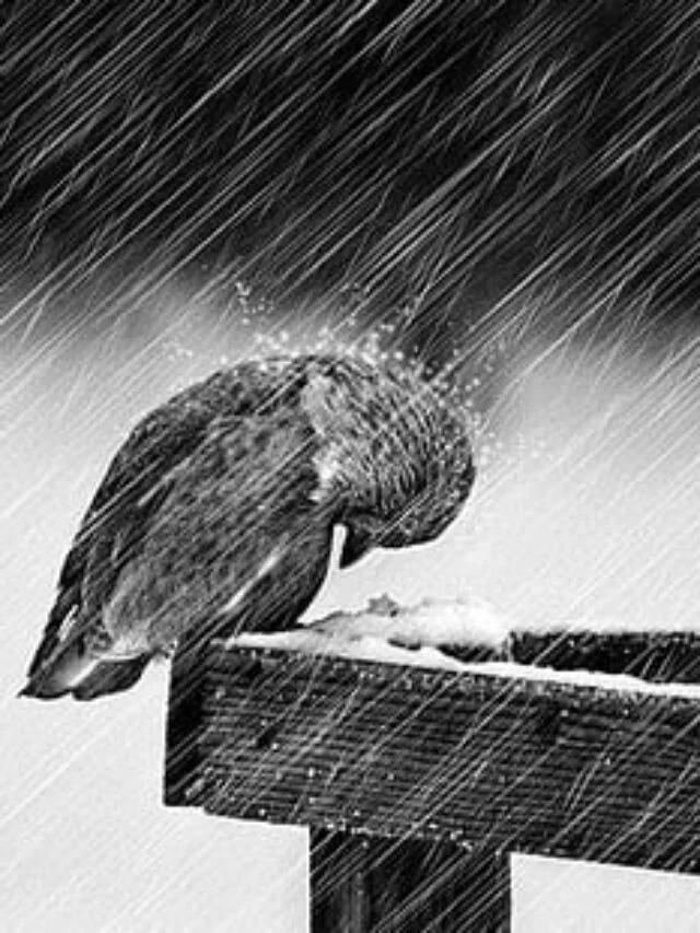 hardship