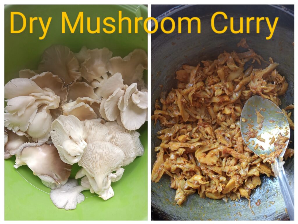 dry mushroom curry